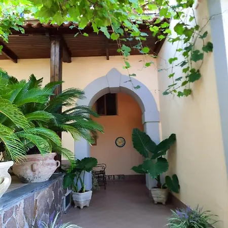 Casa Minervae *
