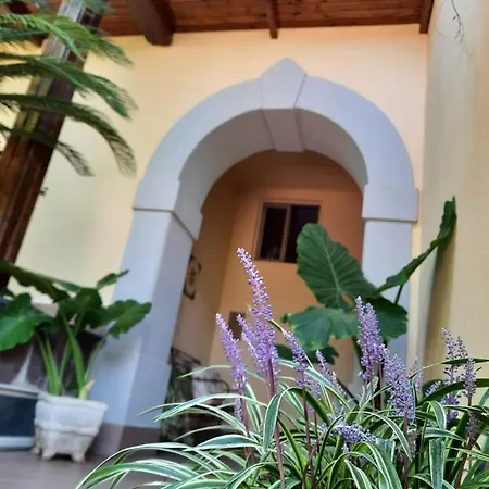 Casa Minervae Apartment Termini